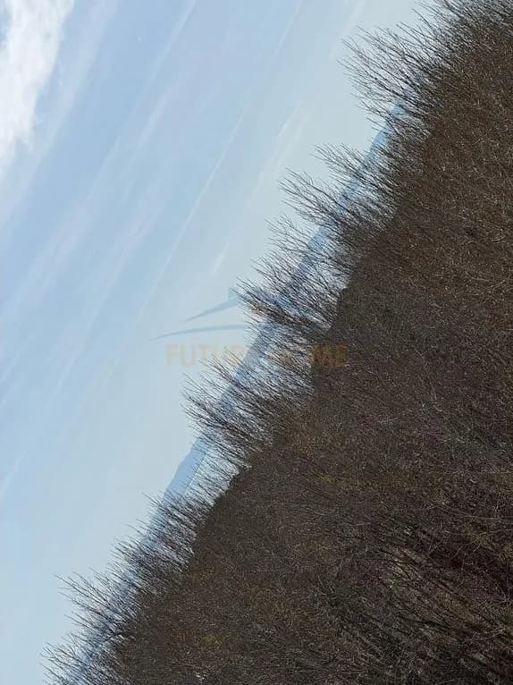 additional images